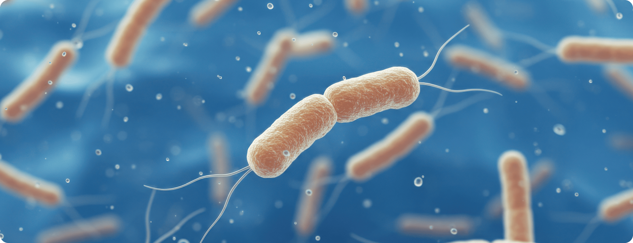 Flu or Typhoid_ Know the Key Differences and Symptoms (3)